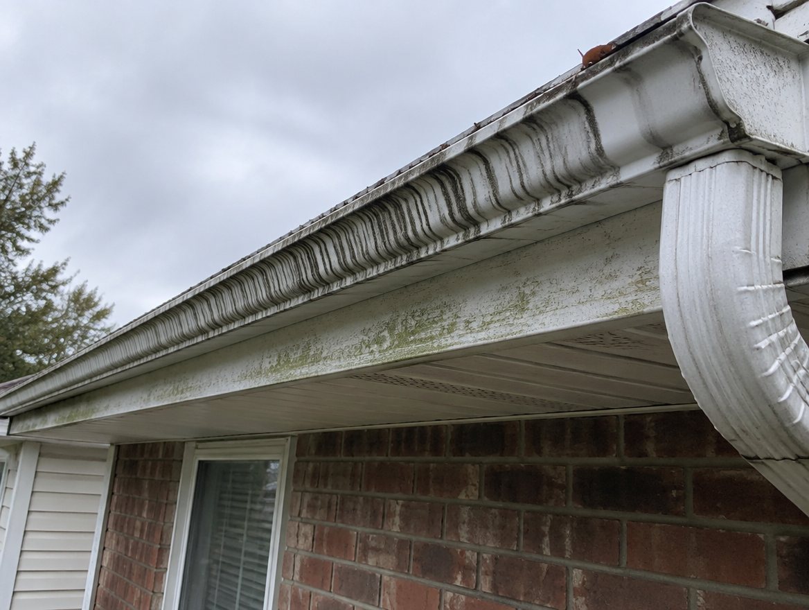 White gutters with black tiger striping