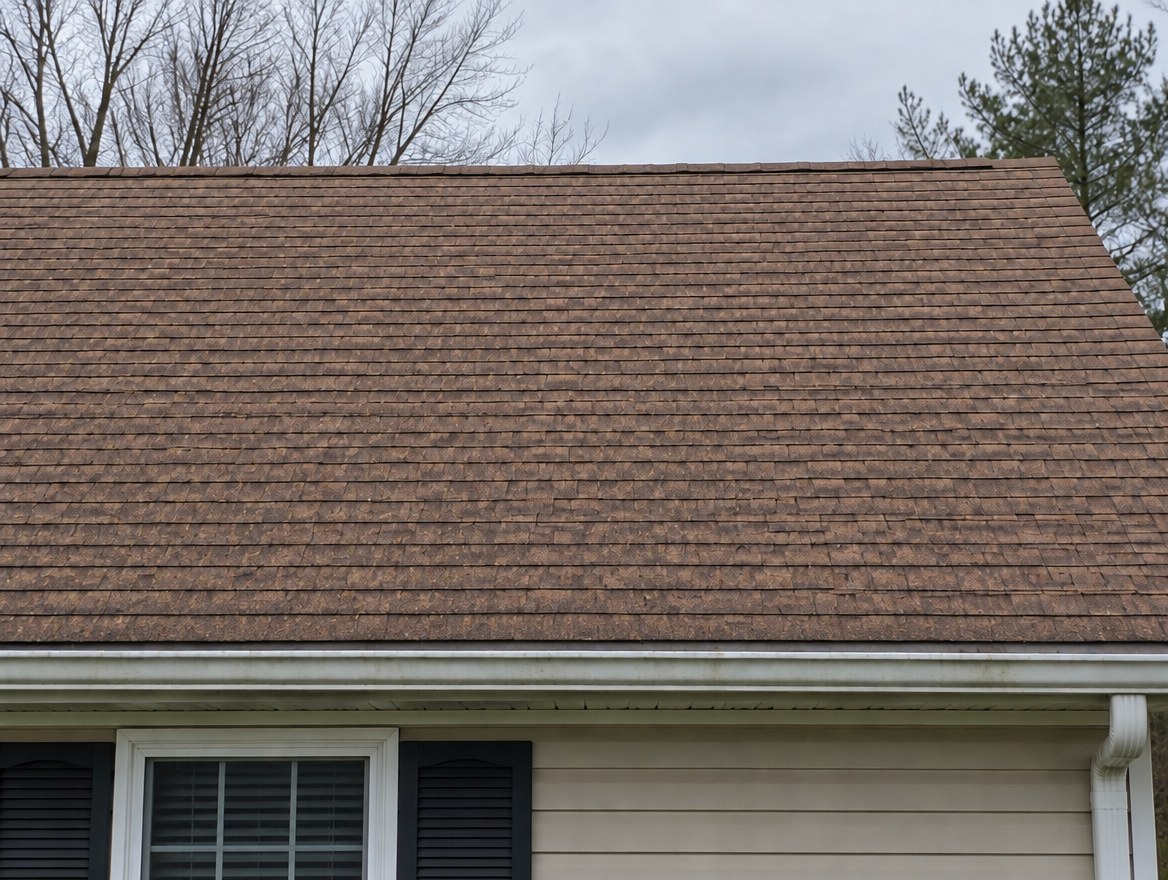 The same roof after cleaning